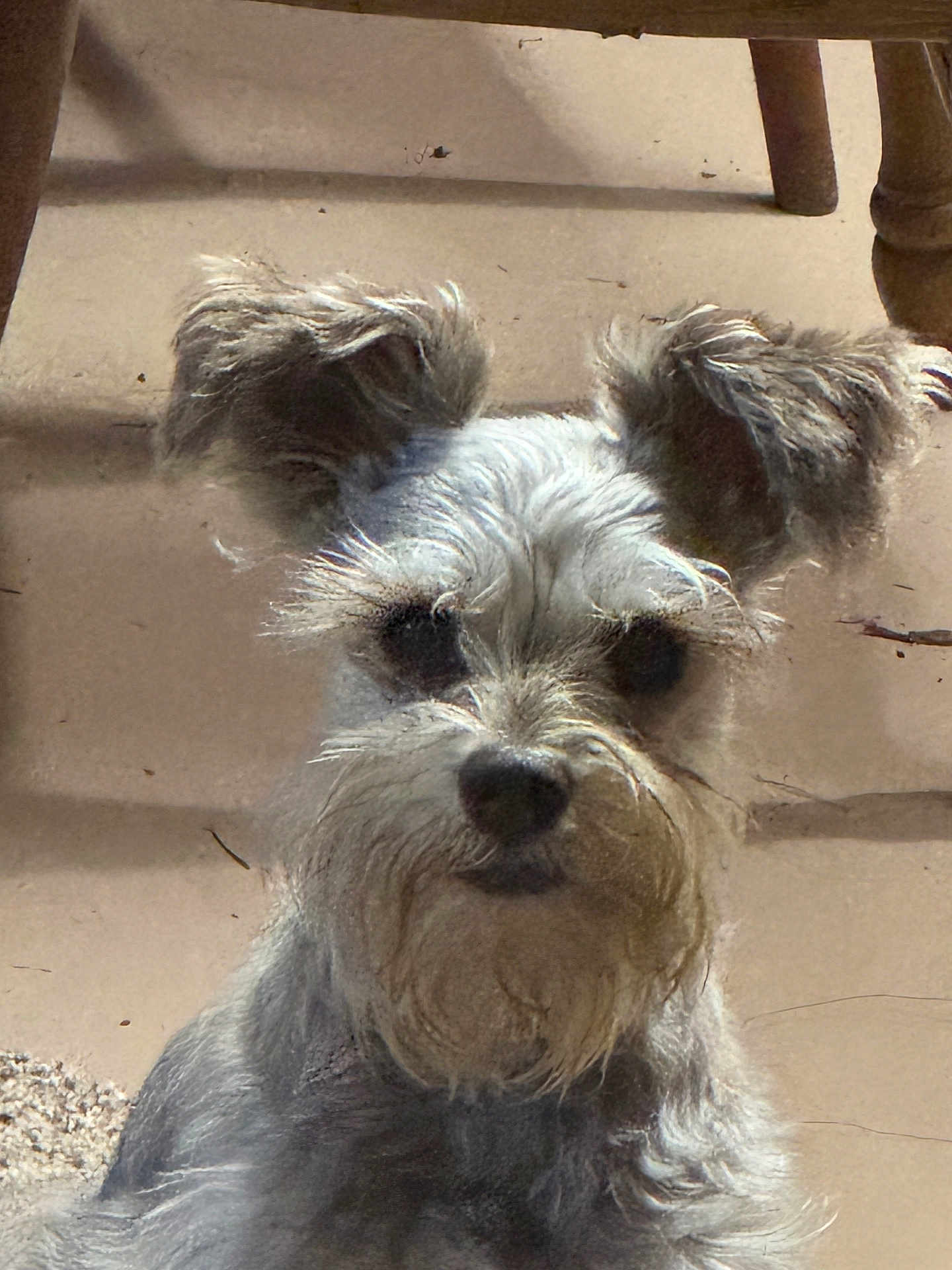 Tucker