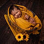 baby, infant, newborn, wrapped, yellow, blanket, basket, wooden_floor, sunflowers, smiling, winking, cute, cozy, portrait, child, feet, hand, knitwear, indoor, warm_colors
