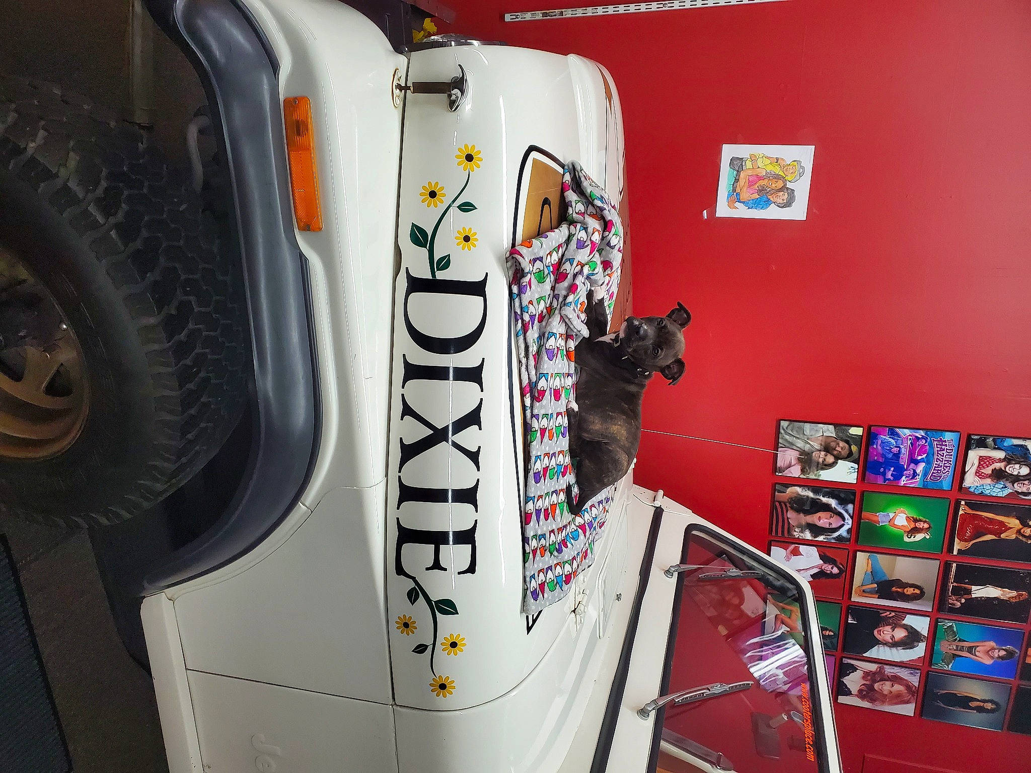 Dixie is registered to the contest to win money with this photo: automotive_design, automotive_exterior, automotive_lighting, automotive_tail_brake_light, automotive_tire, automotive_wheel_system, bumper, car, fender, font, gas, hood, motor_vehicle, rim, synthetic_rubber, tire, tread, vehicle, vehicle_door, wheel