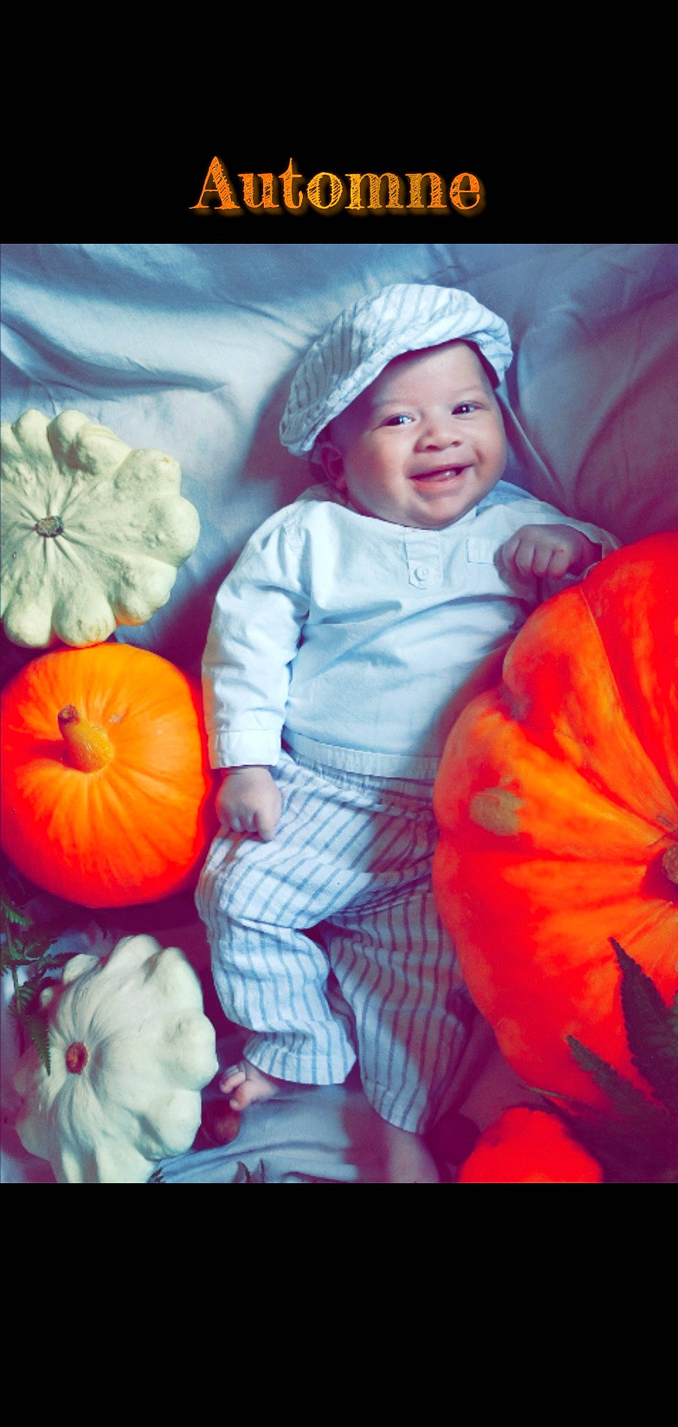 Timaé participe au concours pour gagner de l'argent avec cette photo : art, baby_toddler_clothing, calabaza, cucurbita, eye, facial_expression, gourd, happy, headwear, iris, joy, mammal, nature, orange, organ, people_in_nature, person, photograph, plant, pumpkin