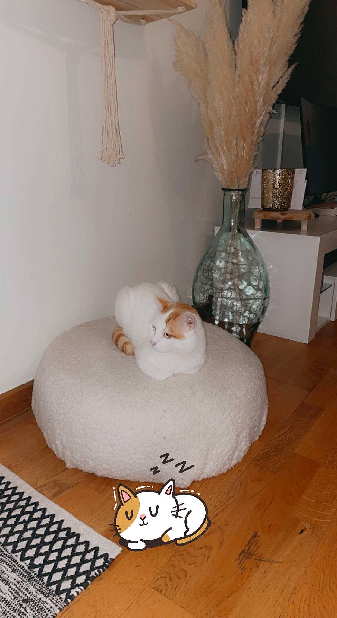 Donut'S participe au concours pour gagner de l'argent avec cette photo : bed_frame, bedding, bedroom, beige, comfort, curtain, fashion_accessory, floor, flooring, grey, hardwood, interior_design, lamp, lighting_accessory, linens, room, table, textile, white, wood