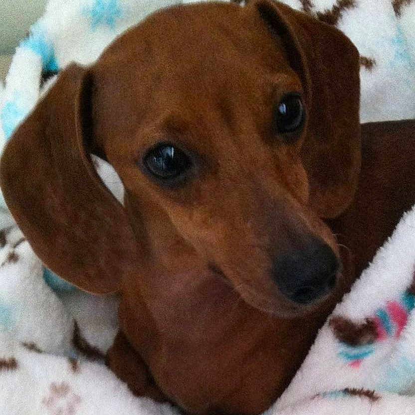 Anni is registered to the contest to win money with this photo: