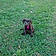 Abbie