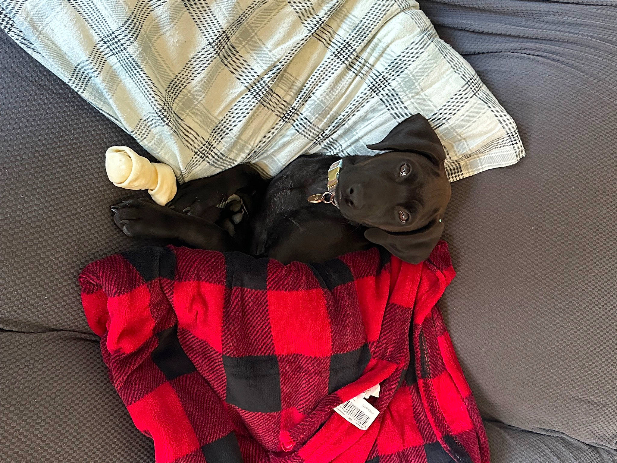 Barbie joined the competition — help win amazing prizes! bag, bow_tie, carmine, collar, comfort, dress_shirt, event, fashion_accessory, formal_wear, fur, linens, magenta, pattern, personal_protective_equipment, plaid, sleeve, sunglasses, tartan, textile, tie