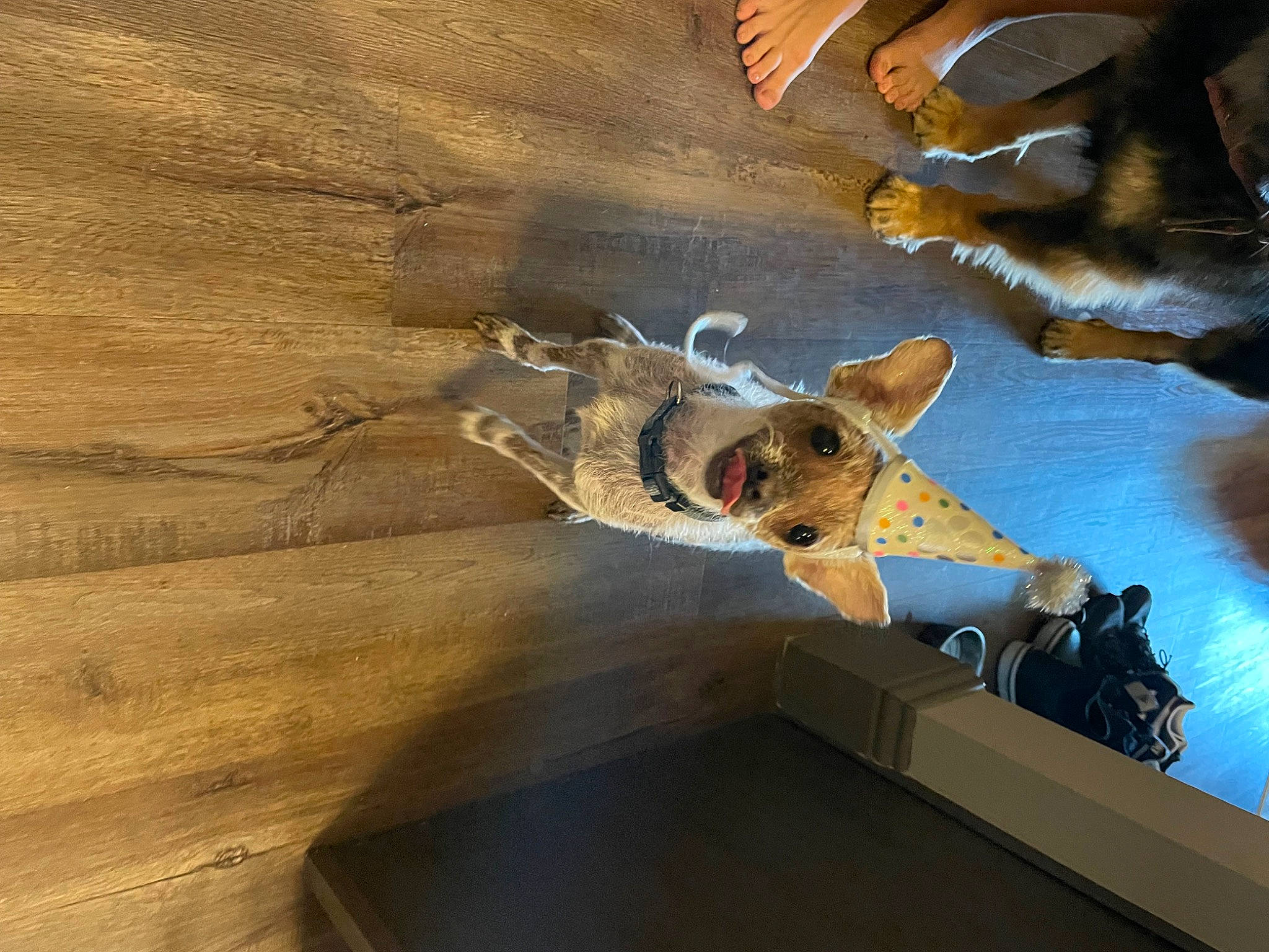 Arty is registered to the contest to win money with this photo: art, canidae, carnivore, ceiling, deer, fawn, flooring, fur, hardwood, herd, landscape, painting, plywood, recreation, shadow, snout, soil, visual_arts, wildlife, wood