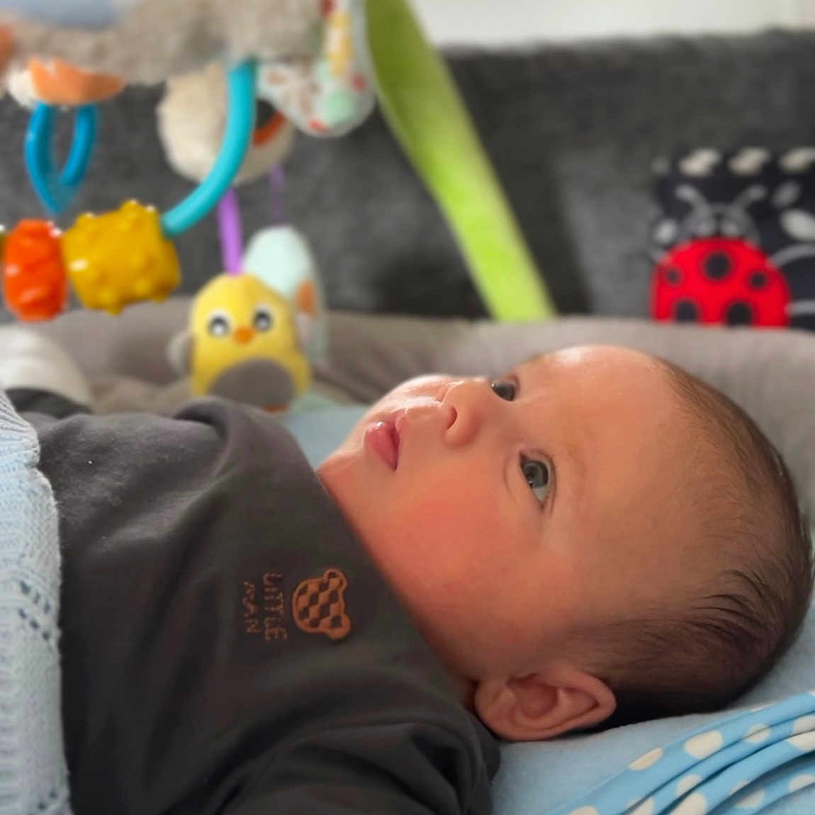 Liam joined the competition — help win amazing prizes! baby, bed, blanket, couch, cradle, crib, cushion, face, furniture, head, homedecor, indoors, infantbed, newborn, person, photography, portrait, quilt, sleeping, toy