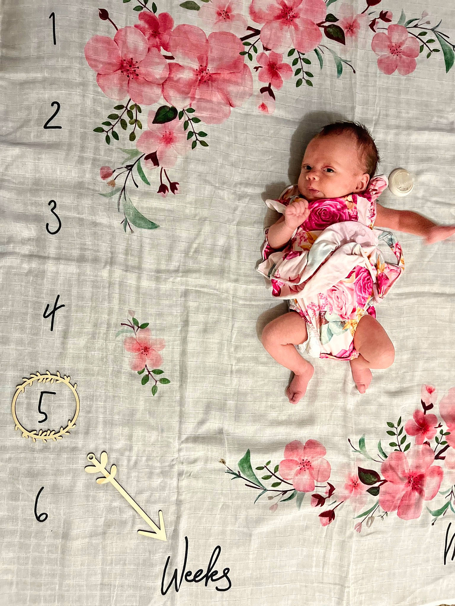 Adalaide is registered to the contest to win money with this photo: baby, baby_toddler_clothing, beauty, botany, design, flower, font, happy, leaf, linens, magenta, pattern, pedicel, people_in_nature, person, petal, pink, plant, product, textile