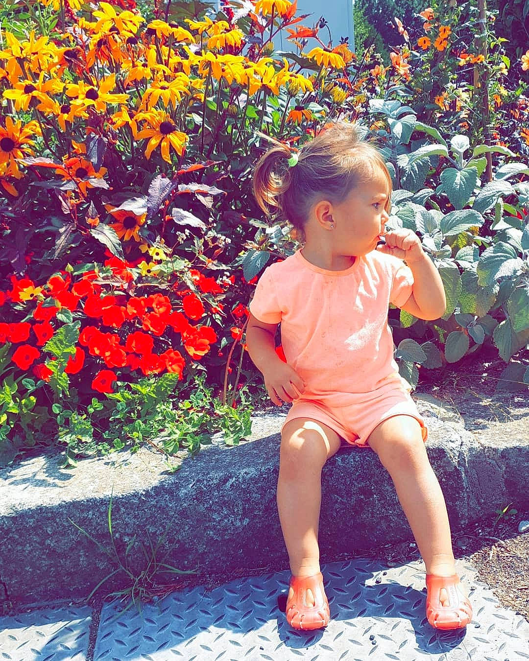 Leana a rejoint le concours — aidez-le/la à gagner de superbes lots ! autumn, botany, child, fawn, flower, happy, leaf, leg, orange, people_in_nature, person, plant, play, sitting, smile, spring, standing, summer, toddler, tree