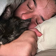 Anaya a rejoint le concours — aidez-le/la à gagner de superbes lots ! animal, blanket, cat, closeup, comfort, cozy, cute, face, friendship, fur, hand, human, indoor, person, pet, pillow, relaxation, rest, sleeping, snuggle