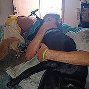Lobo joined the competition — help win amazing prizes! person, dog, black_dog, brown_dog, hugging, indoor, door, blanket, couch, arm, hand, collar, floor, keychain, water_bottle, sign, casual_clothing, home, light, window