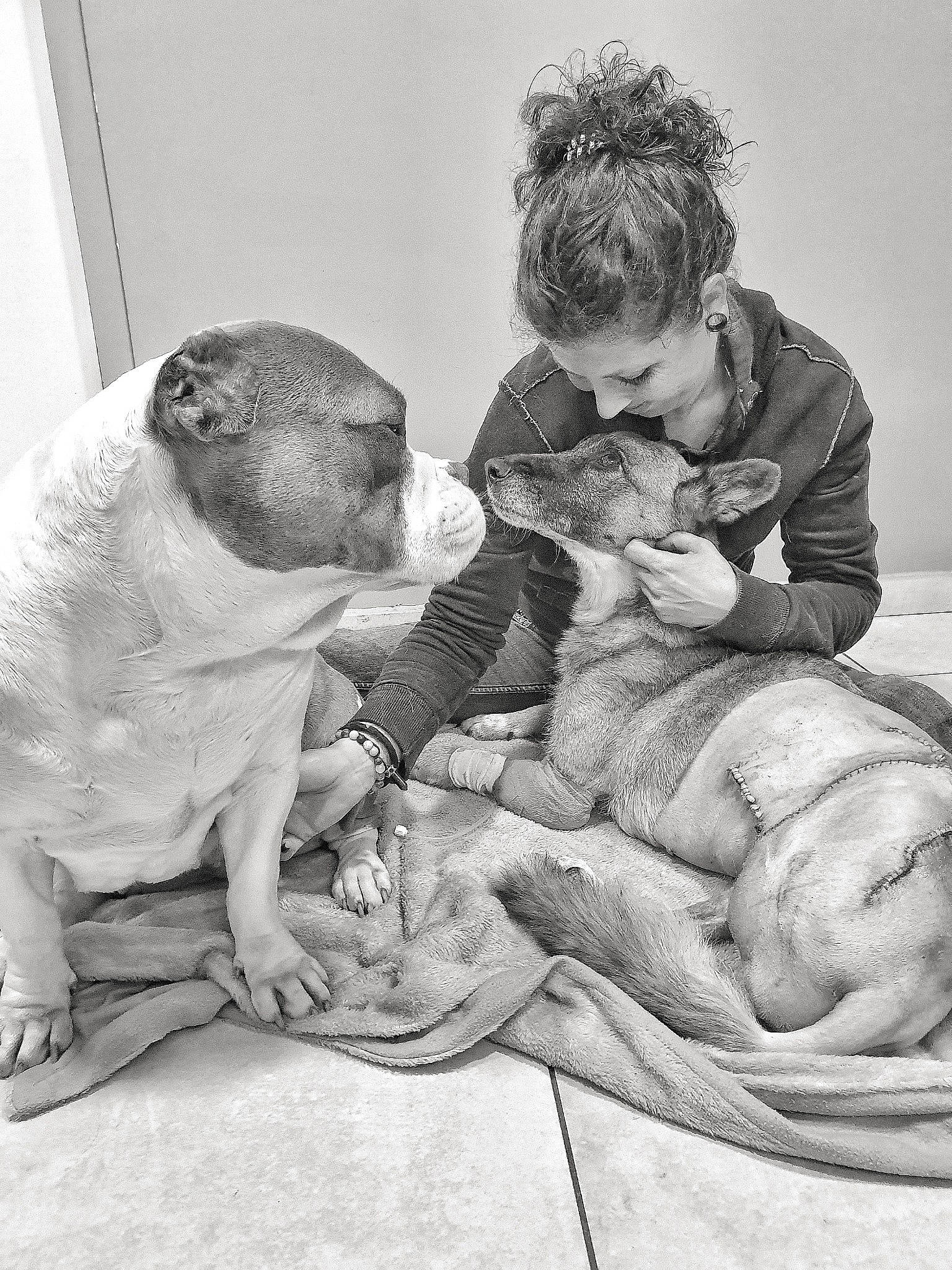 Ino a rejoint le concours — aidez-le/la à gagner de superbes lots ! american_bulldog, ancient_dog_breeds, bulldog, bullmastiff, canidae, carnivore, child, companion_dog, dog, dog_breed, french_bulldog, non_sporting_group, old_english_bulldog, olde_english_bulldogge, puppy_love, toy_bulldog