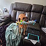 dog, toy, plush_toy, couch, blanket, tablet, living_room, brown_dog, leather_furniture, indoor, pet, playful, person_covered, fabric, home, electronics, resting, cozy, furniture, smiling_toy