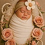 newborn, baby, sleeping, wrapped, blanket, basket, roses, flowers, headband, flower, soft_lighting, peaceful, portrait, closeup, skin, infant, cute, decor, floral, cozy