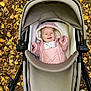 baby, stroller, pink_jacket, hood, smiling, autumn_leaves, fall, outdoor, child, happy, cozy, jacket, footwear, person, nature, seasonal, cute, infant, park, casual