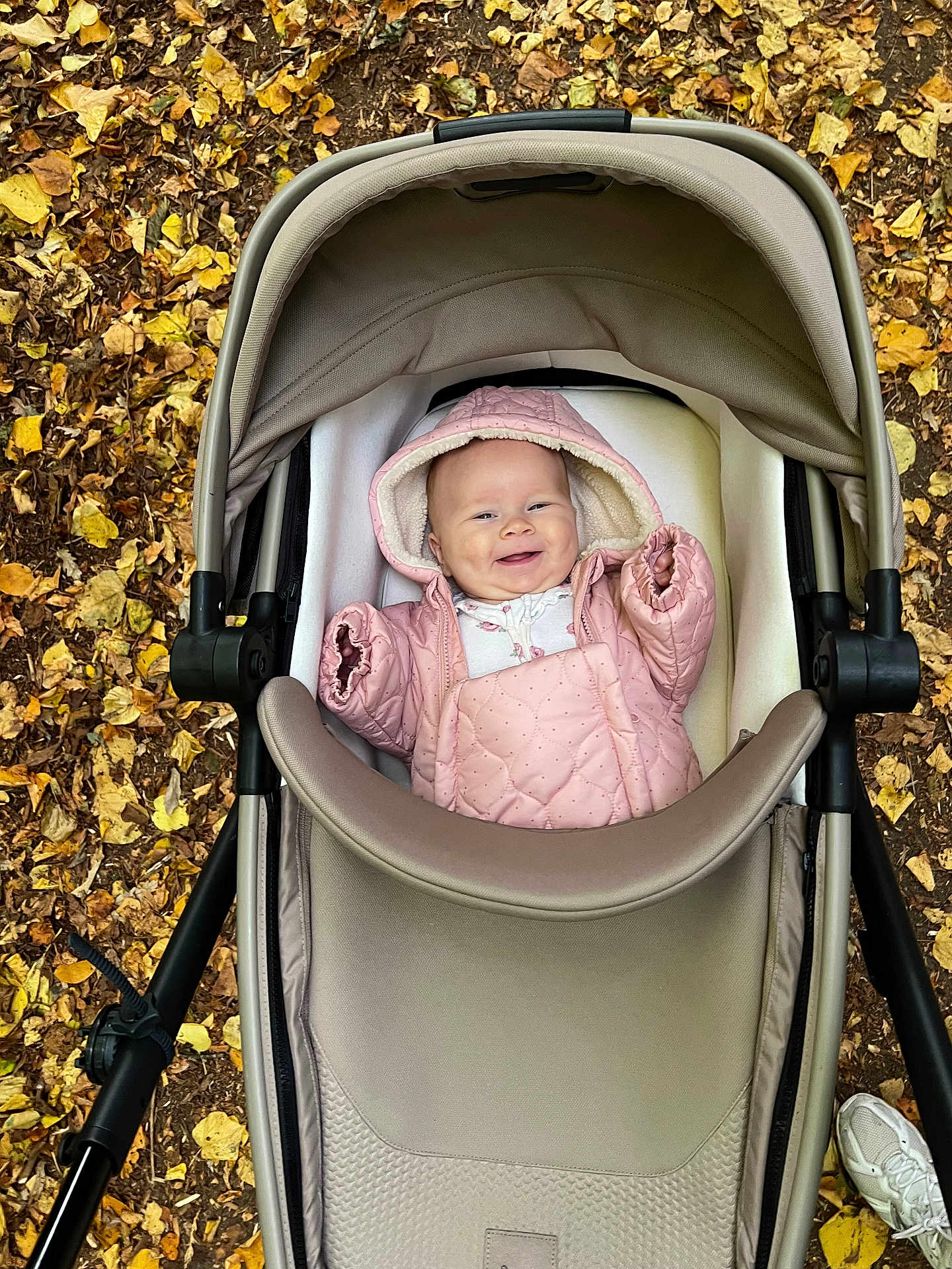 Ella joined the competition — help win amazing prizes! baby, stroller, pink_jacket, hood, smiling, autumn_leaves, fall, outdoor, child, happy, cozy, jacket, footwear, person, nature, seasonal, cute, infant, park, casual