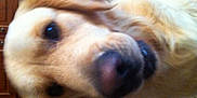 Happy participe au concours pour gagner de l'argent avec cette photo :