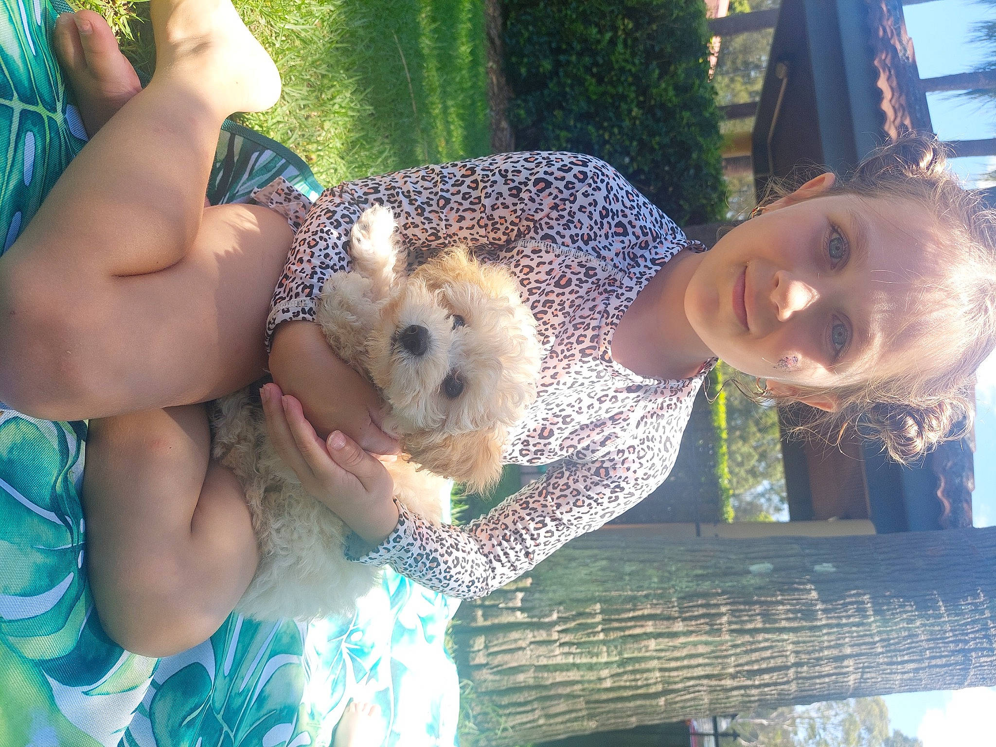 Ayva is registered to the contest to win money with this photo: carnivore, child, companion_dog, dog, dog_breed, eyewear, fawn, fun, fur, grass, green, happy, leisure, person, recreation, spitz, sunglasses, thigh, toy, toy_dog