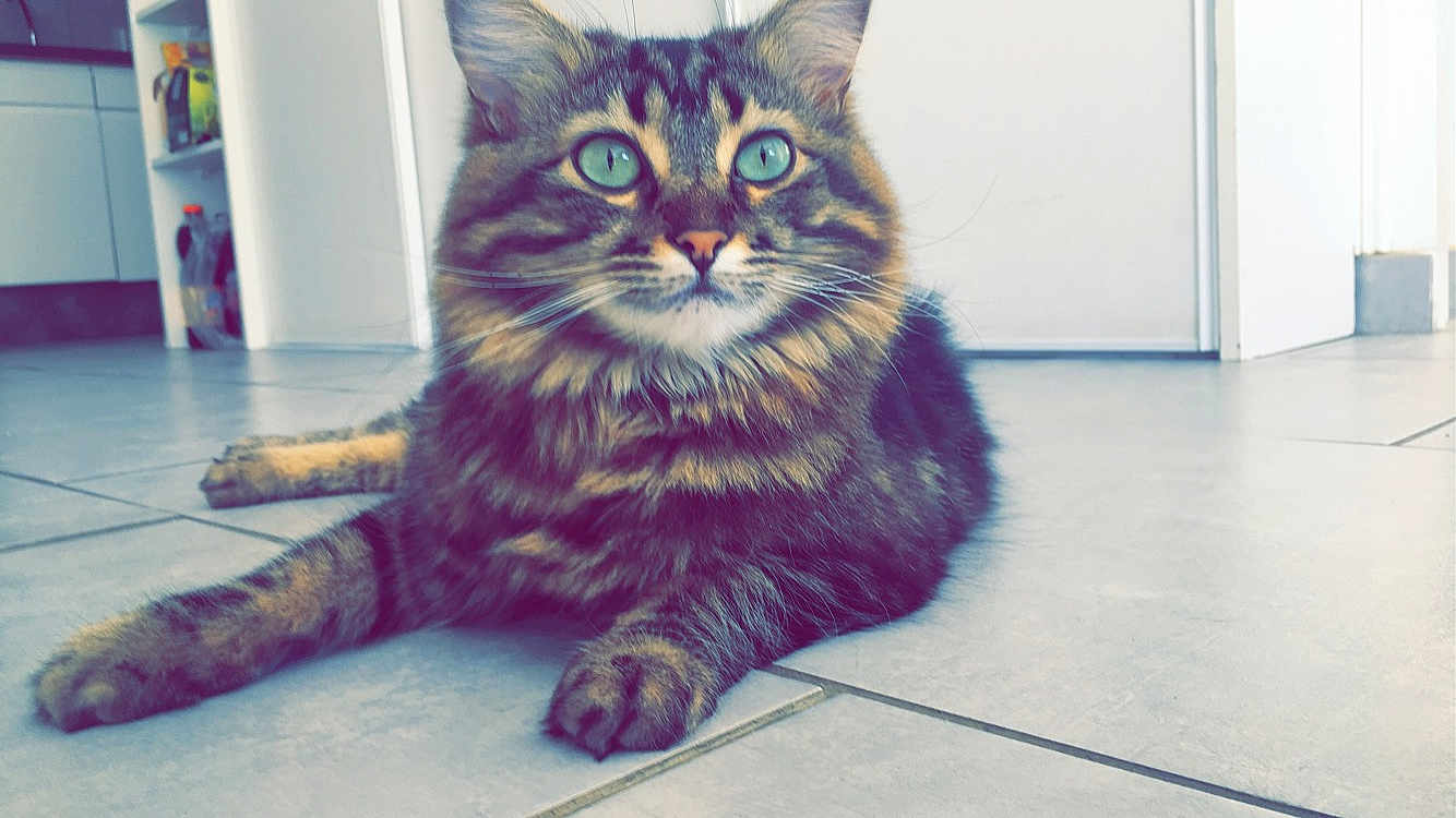 Leeloo