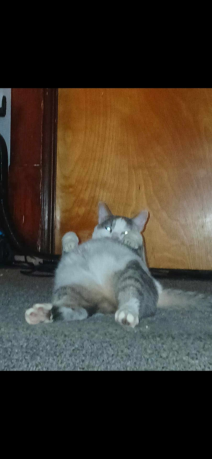 Bob