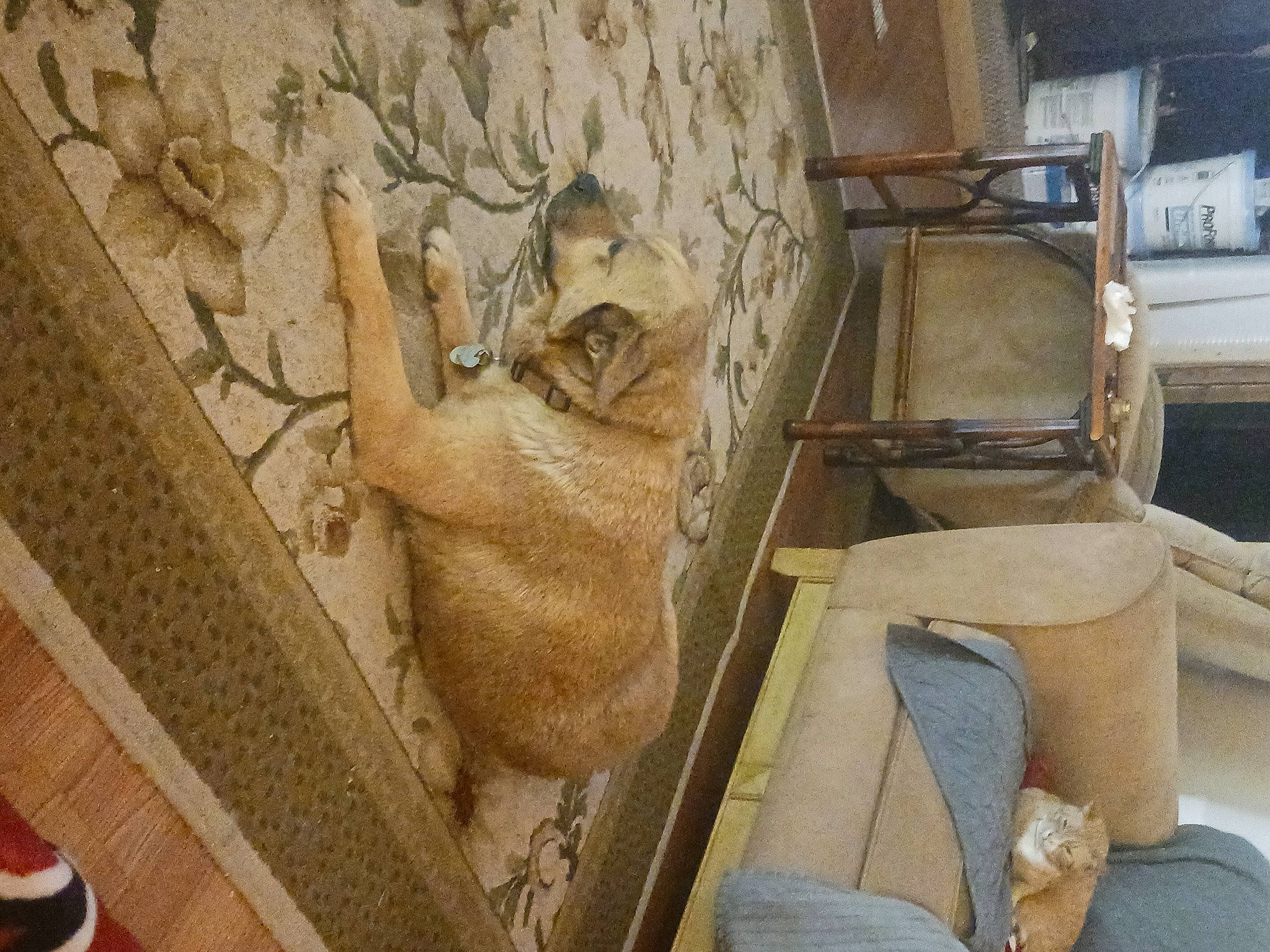 Caroline joined the competition — help win amazing prizes! ancient_history, anthropology, art, artifact, building, carving, ceiling, chair, facade, felidae, floor, flooring, history, house, relief, room, sculpture, statue, tile, wood