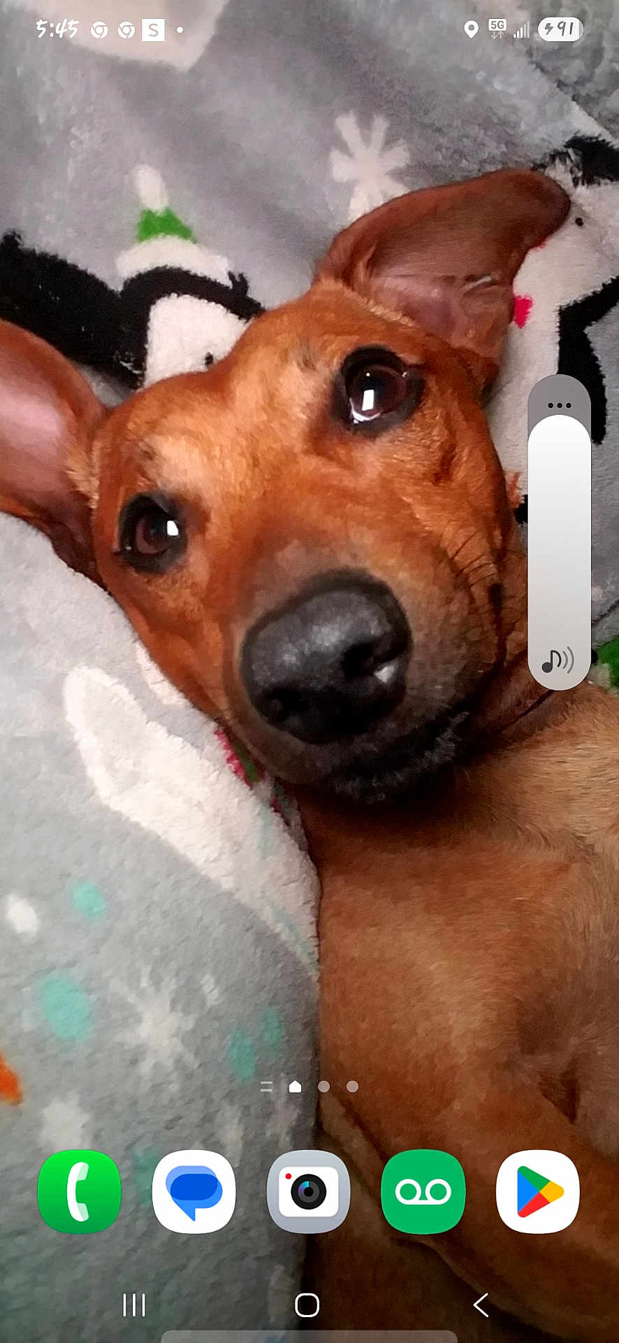 Sparky