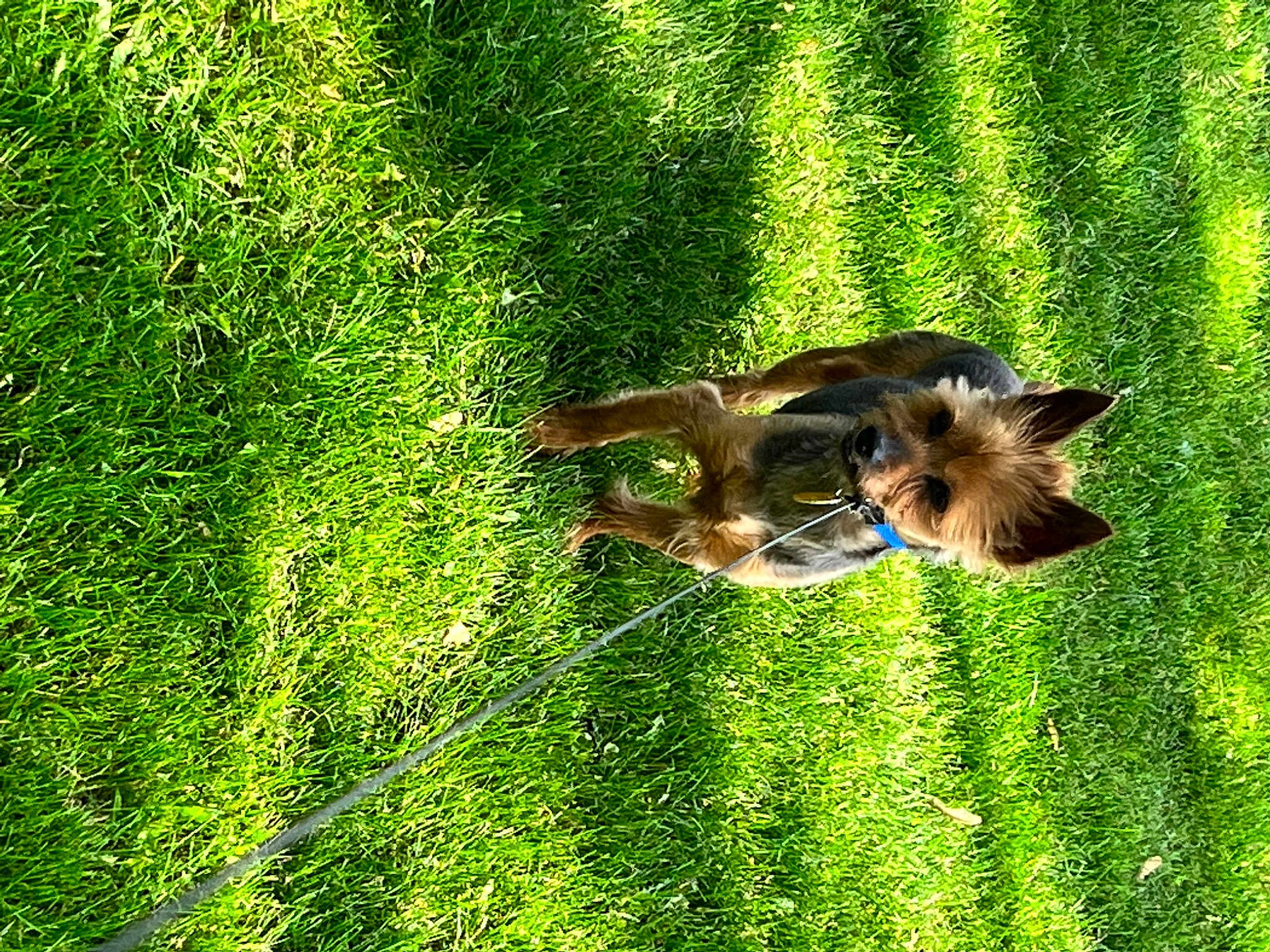 Riley