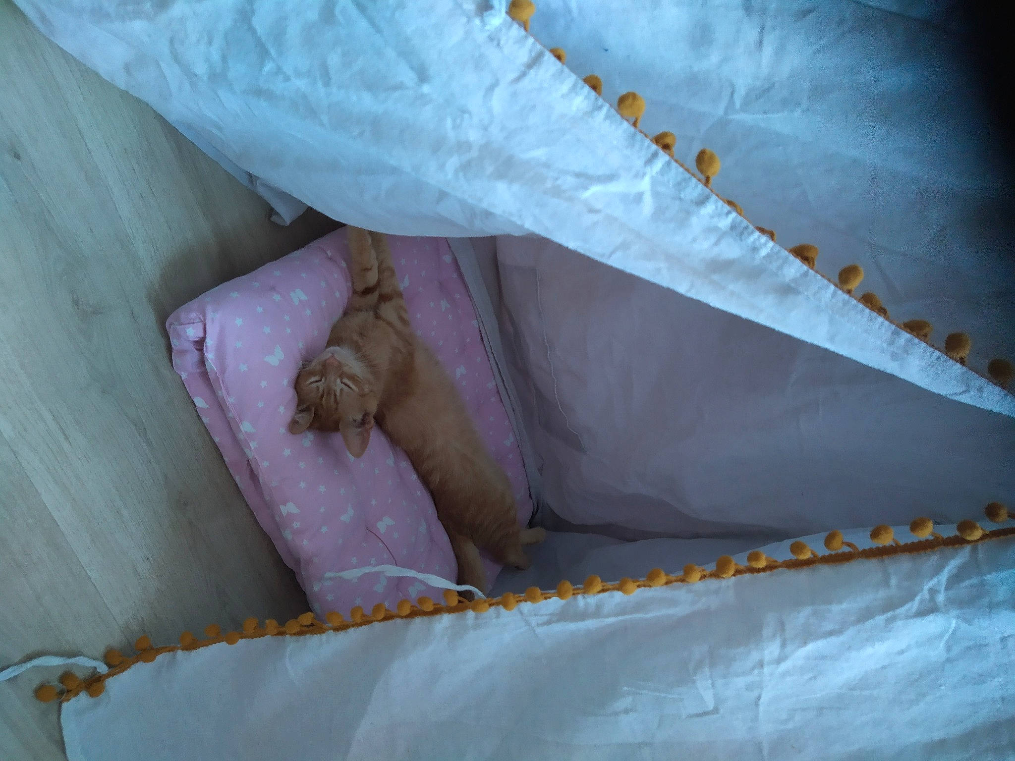 Bibou a rejoint le concours — aidez-le/la à gagner de superbes lots ! barefoot, elbow, flesh, foot, human_leg, knee, linens, nail, pattern, peach, plastic_bag, rectangle, room, tarpaulin, thigh, tints_and_shades, toe, wood, wrist