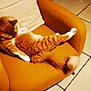 Simba Le Kikouillou a rejoint le concours — aidez-le/la à gagner de superbes lots ! armchair, cat, cozy, cute, domestic_animal, fluffy, furniture, grooming, indoor, living_room, mammal, orange_cat, paw, pet, relaxed, resting, tail, tile_floor, whiskers, white_cat