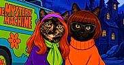 Astrid joined the competition — help win amazing prizes! cats, cat_costumes, scooby_doo_theme, mystery_machine, halloween, cartoon, illustration, animated_style, orange_wig, purple_wig, green_scarf, orange_turtleneck, glasses, spooky_mansion, night_scene, blue_background, vehicle, portrait, humorous, fictional_characters
