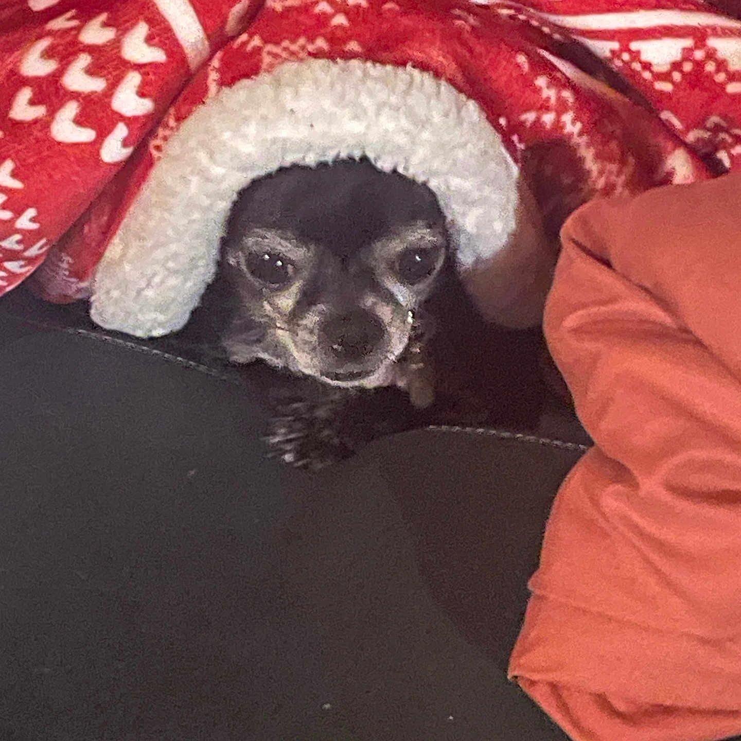 Mia