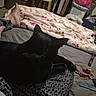 bed, black_cat, blanket, casual, cat, comfort, feet, floor, furniture, home, indoor, laundry_basket, pajamas, person, pet, relaxing, remote_control, resting, sleepy, toy