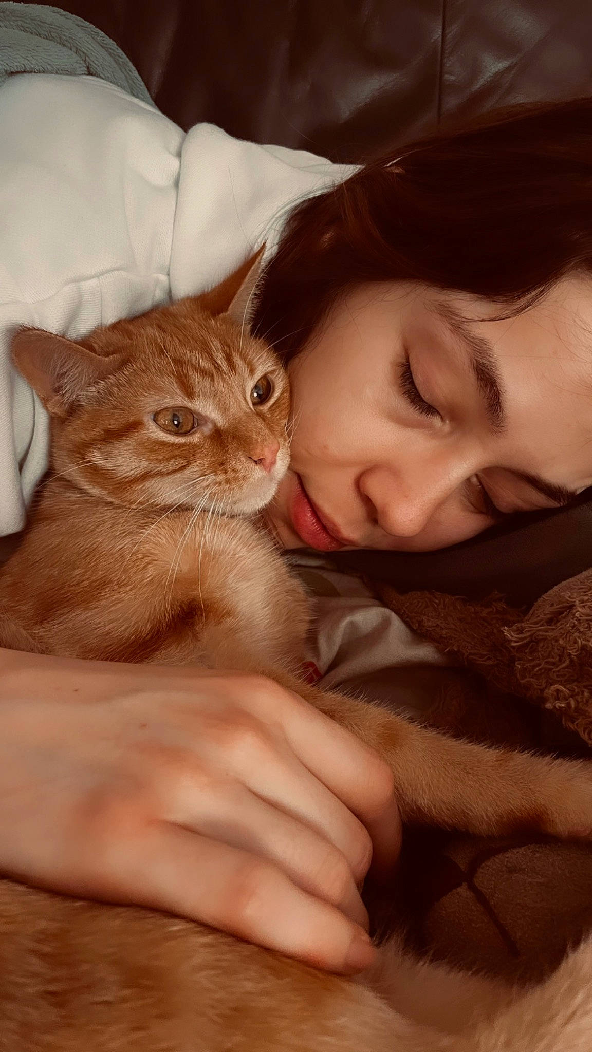 Roucky a rejoint le concours — aidez-le/la à gagner de superbes lots ! carnivore, cat, cheek, comfort, ear, eyelash, fawn, felidae, gesture, hand, happy, iris, long_hair, mammal, nose, skin, small_to_medium_sized_cats, smile, vertebrate, whiskers