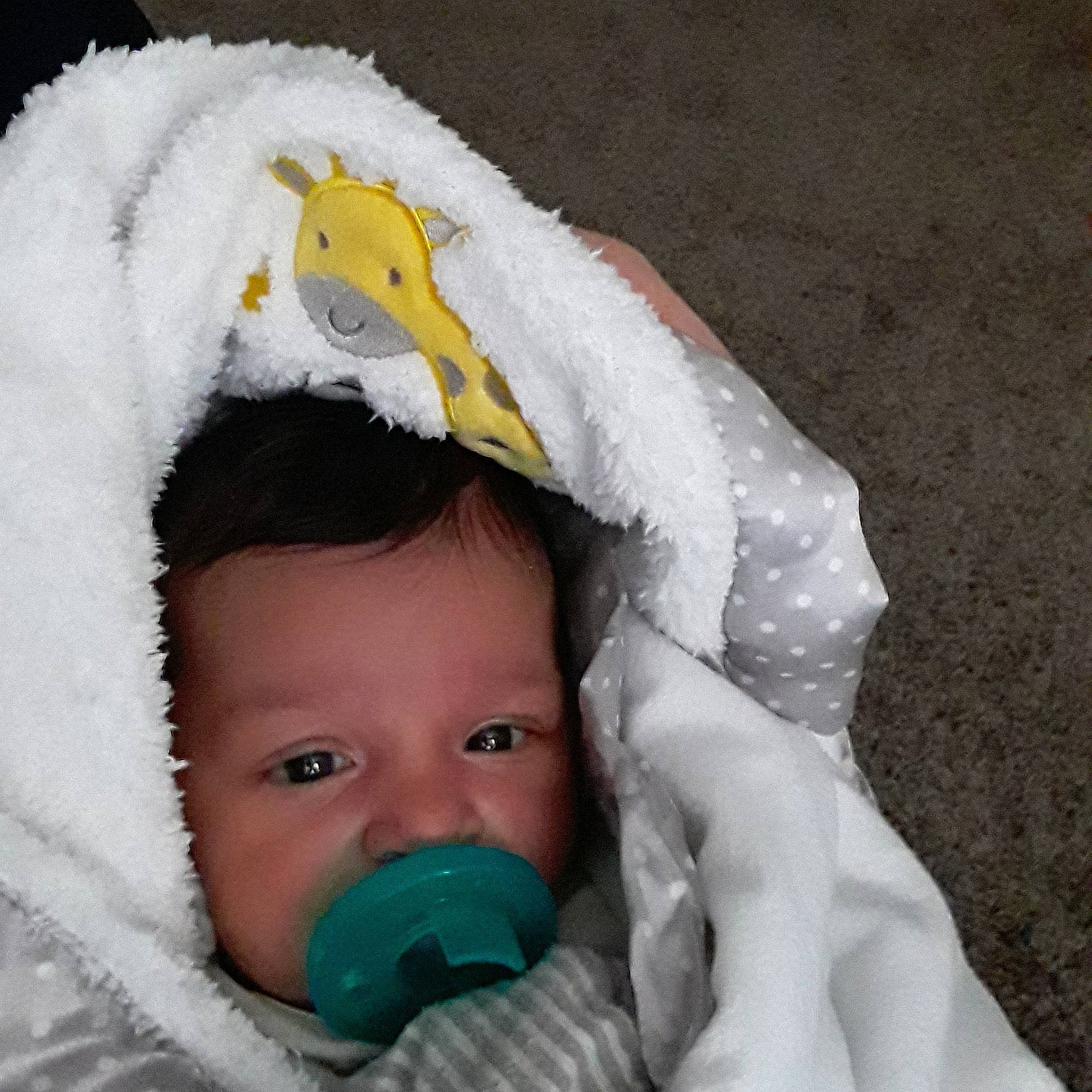 Armani is registered to the contest to win money with this photo: baby, child, person, product, toddler