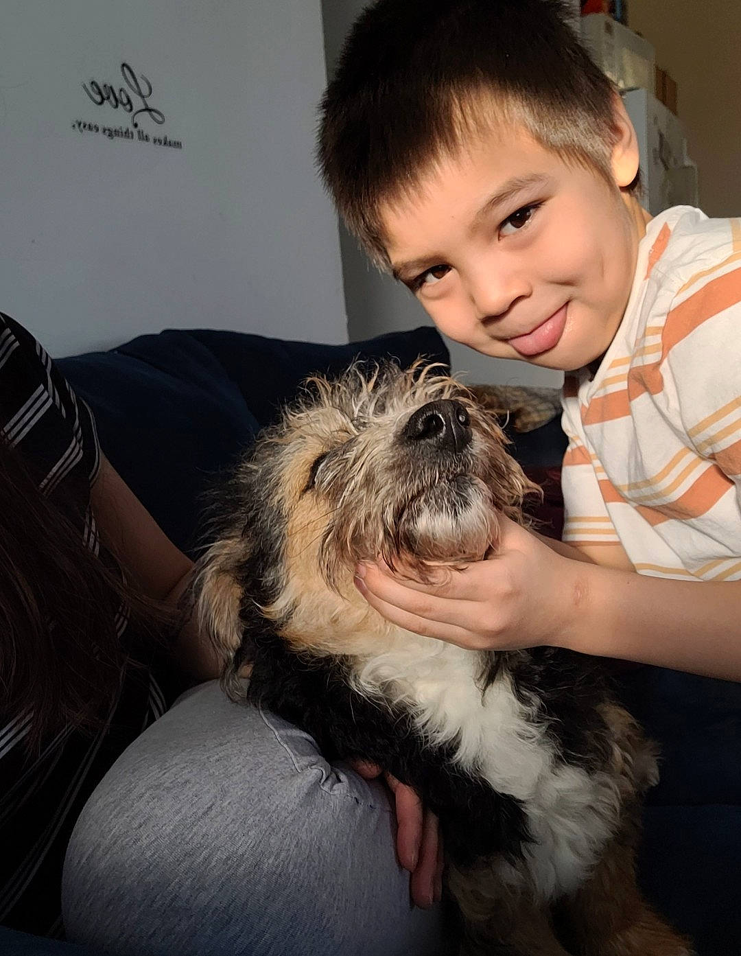 Landon is registered to the contest to win money with this photo: canidae, carnivore, comfort, companion_dog, dog, dog_breed, ear, family_car, flash_photography, fun, fur, happy, person, sitting, small_terrier, smile, sporting_group, terrier, toddler, toy_dog