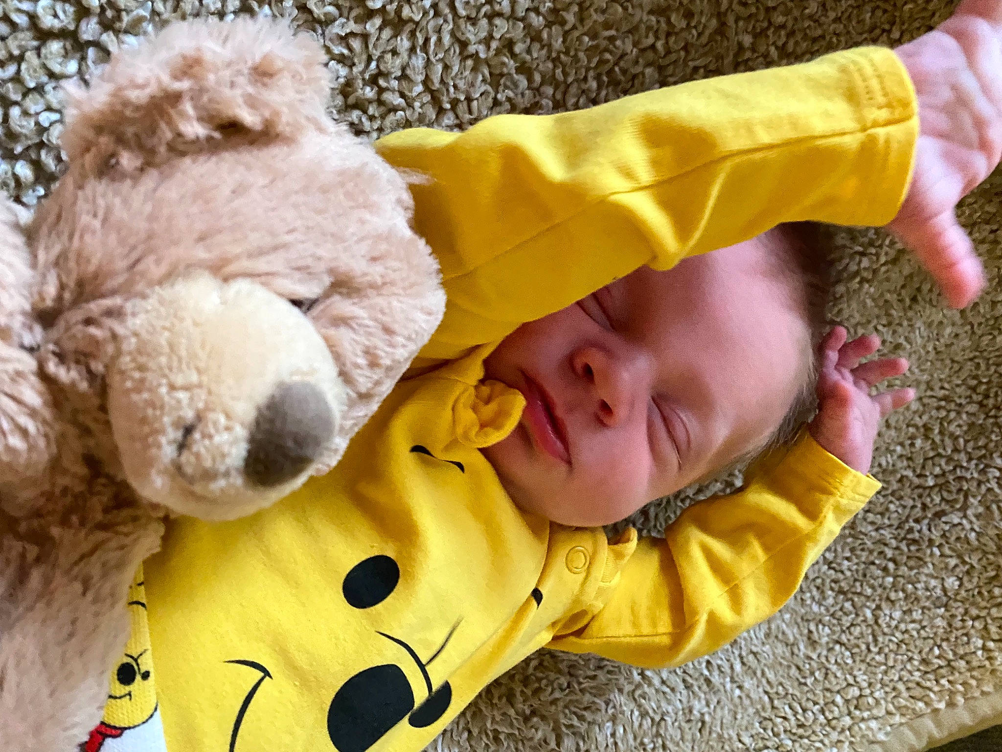Briggs Allen joined the competition — help win amazing prizes! baby, baby_products, baby_sleeping, baby_toddler_clothing, baby_toys, child, comfort, fun, fur, grass, happy, linens, mammal, person, plush, smile, stuffed_toy, teddy_bear, toddler, toy