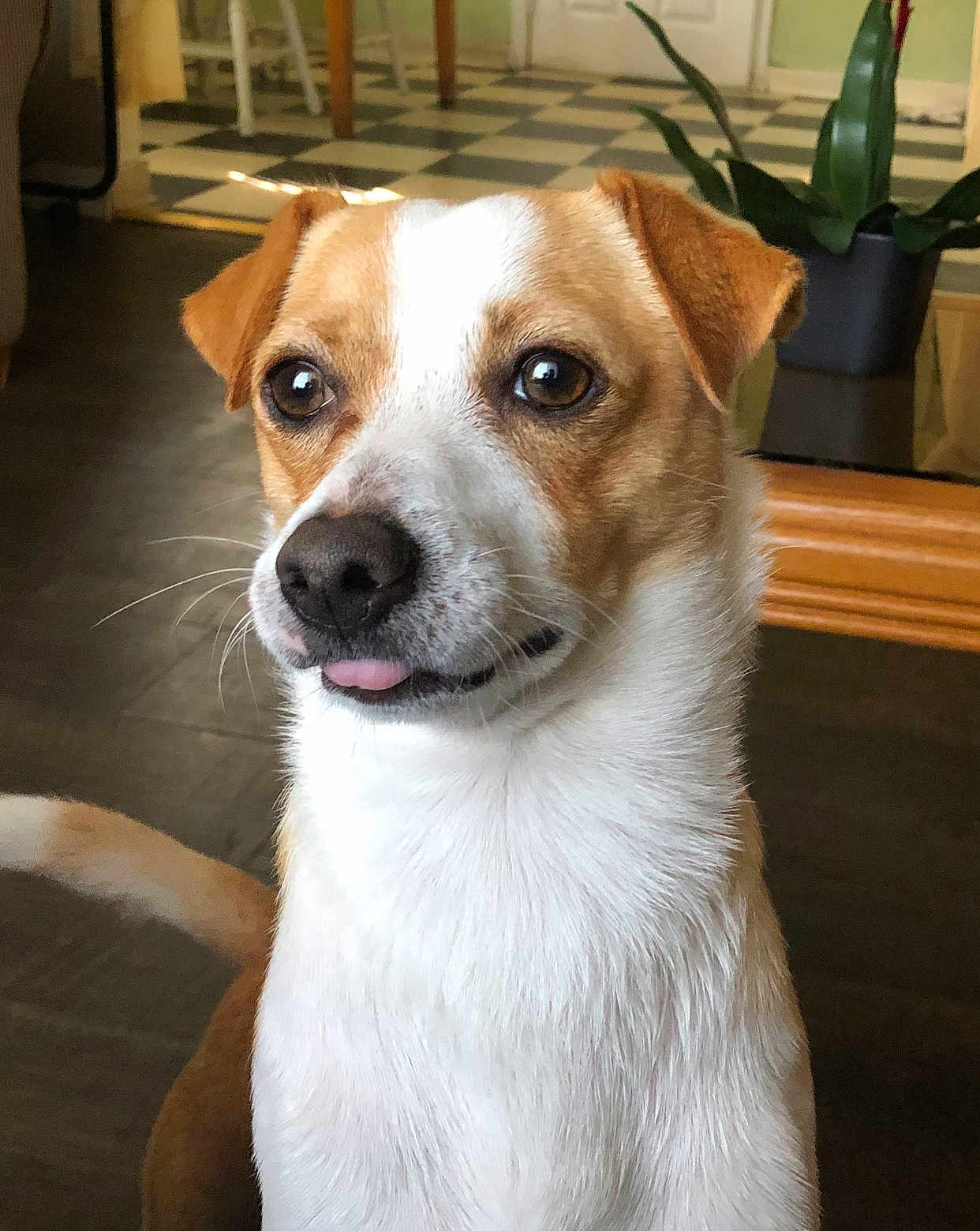 Max