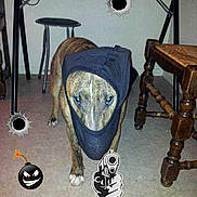 Faya a rejoint le concours — aidez-le/la à gagner de superbes lots !