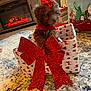 carpet, christmas, cozy, cute, decorations, dog, festive, fireplace, gift_box, glitter, holiday, holiday_season, indoor, pet, present, puppy, red_bow, red_scarf, small_dog, wrapped_gift