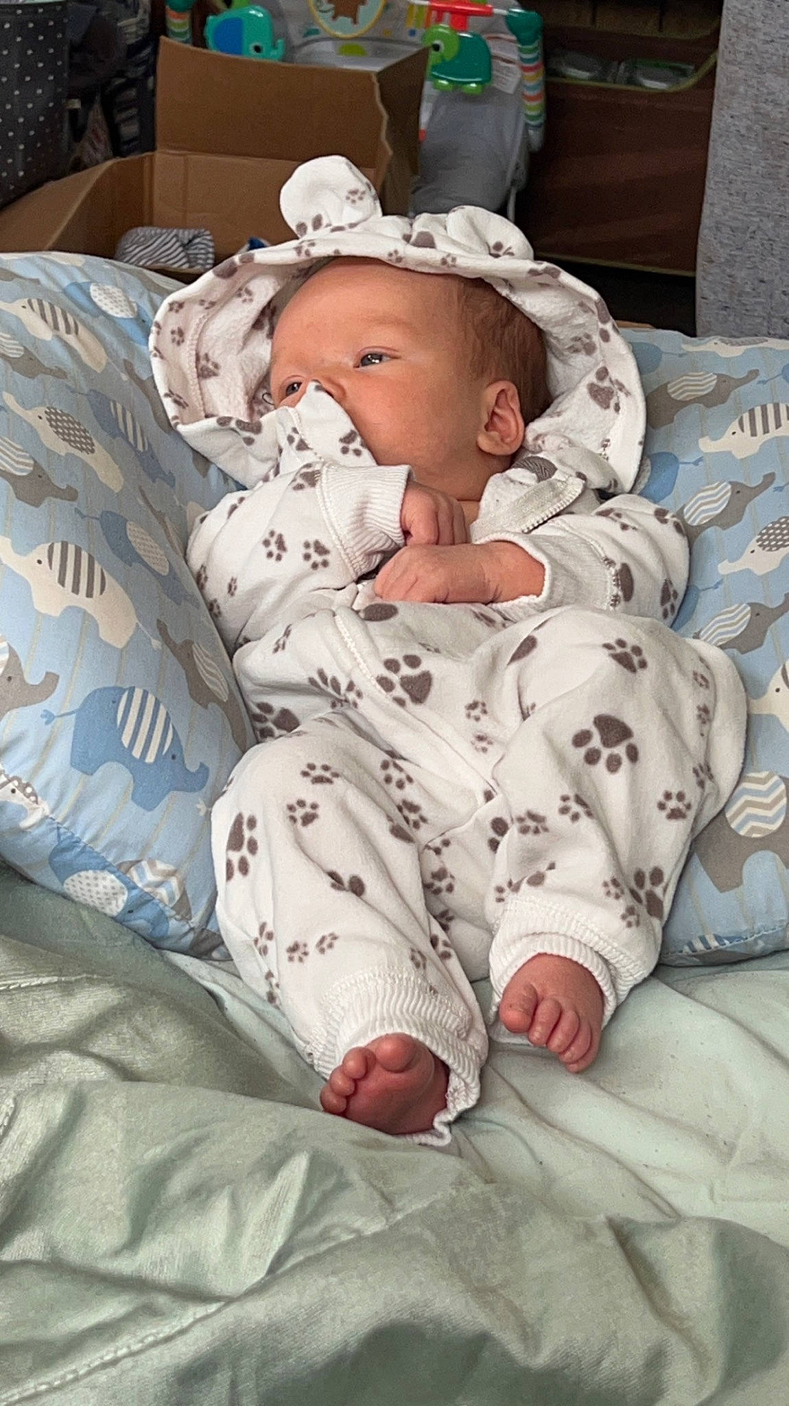 Paxton is registered to the contest to win money with this photo: baby, baby_products, baby_safety, baby_sleeping, baby_toddler_clothing, bedding, bedtime, carmine, child, comfort, flesh, flooring, knee, linens, nap, pattern, person, sitting, sleep, sleeve