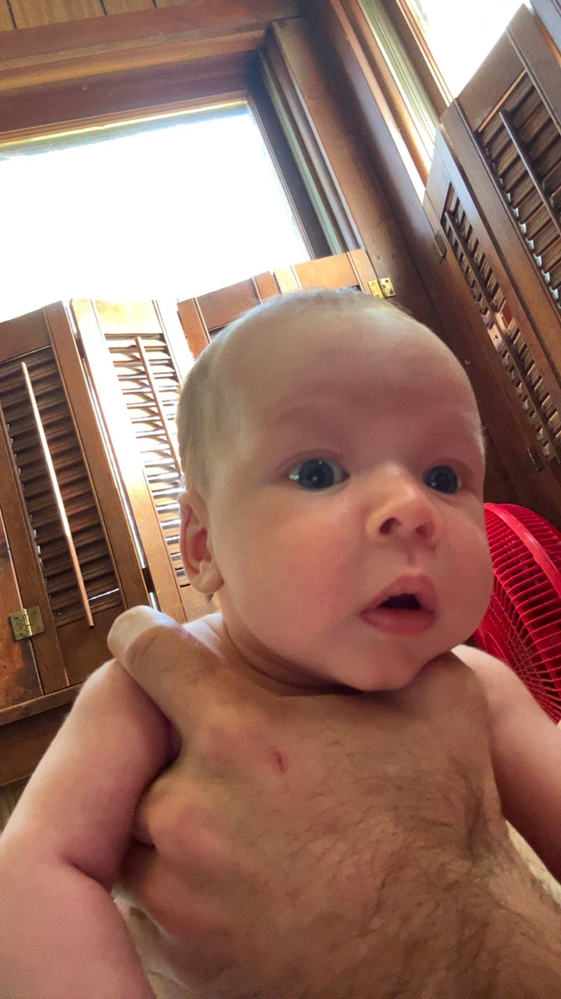 Paxton is registered to the contest to win money with this photo: abdomen, baby, cheek, chest, eyebrow, eyelash, face, finger, hand, happy, iris, lip, mouth, nail, nose, person, skin, surprise, thumb, toddler