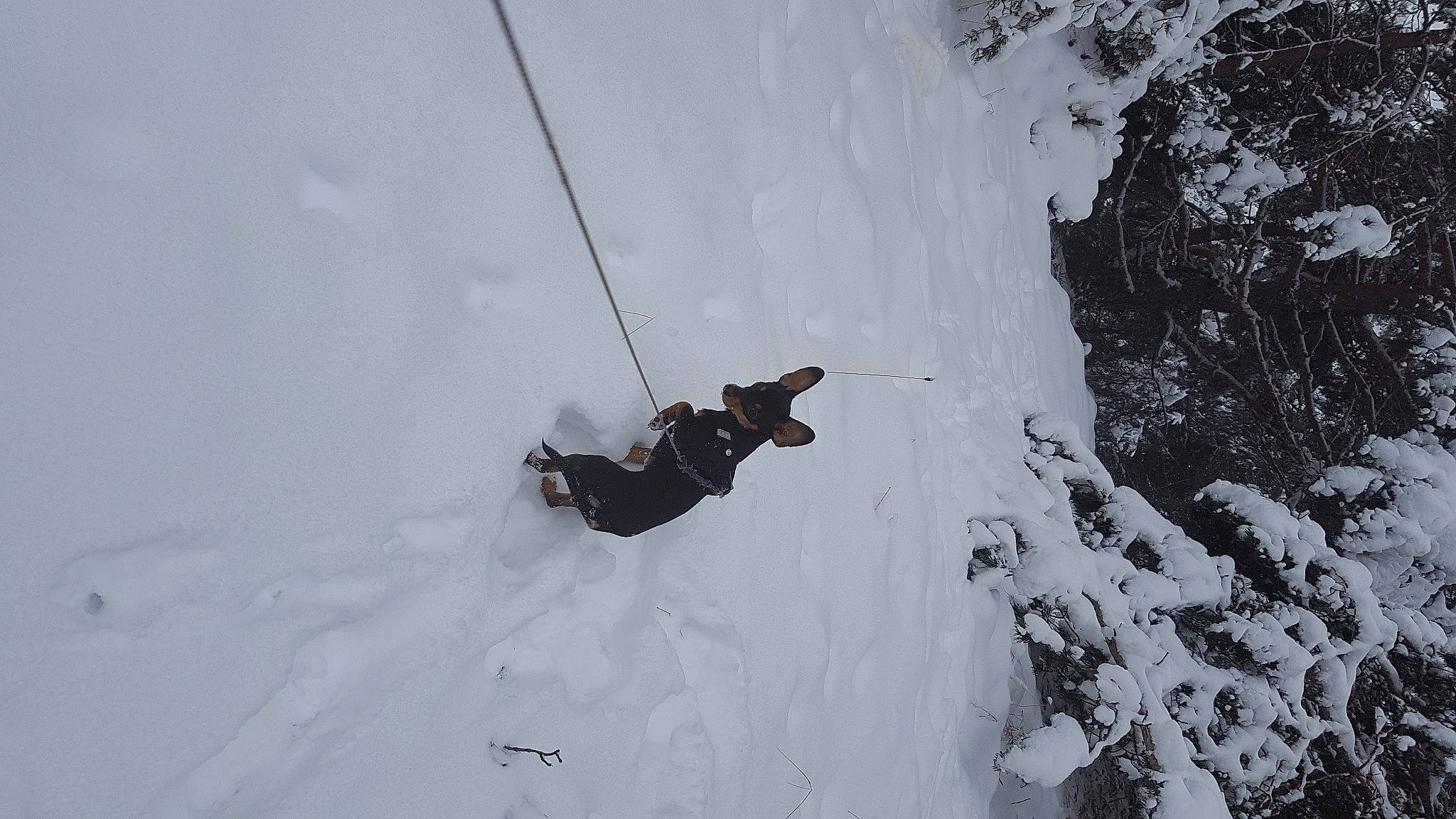 Vixy a rejoint le concours — aidez-le/la à gagner de superbes lots ! adventure, climbing, climbing_harness, extreme_sport, freezing, geological_phenomenon, helmet, ice_climbing, mountain, mountaineer, outdoor_shoe, recreation, rock_climbing_equipment, rope, slope, snow, sport_climbing, sports, sports_equipment, winter