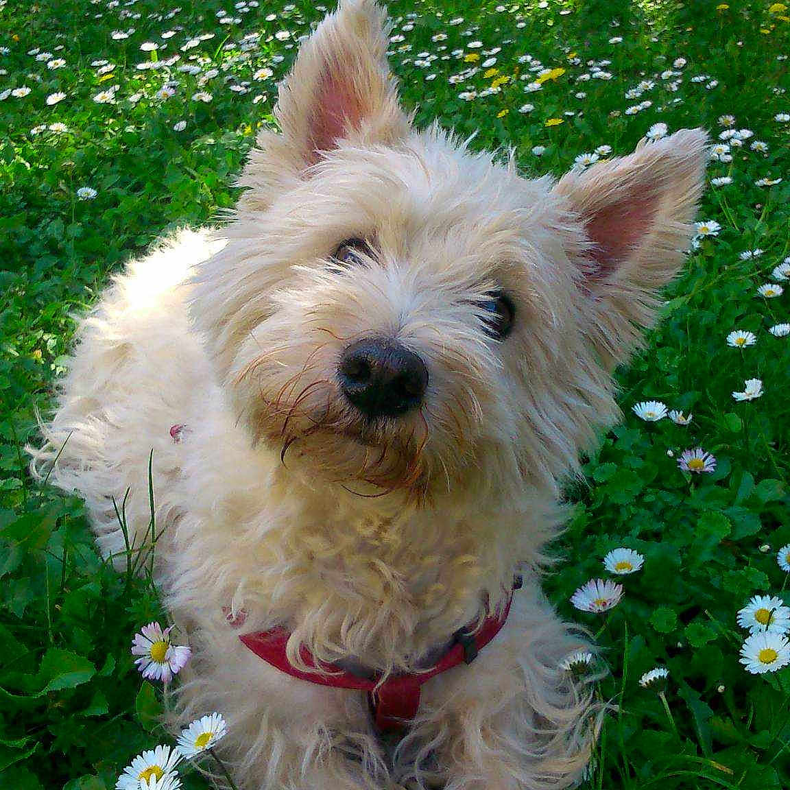 Sally participe au concours pour gagner de l'argent avec cette photo :