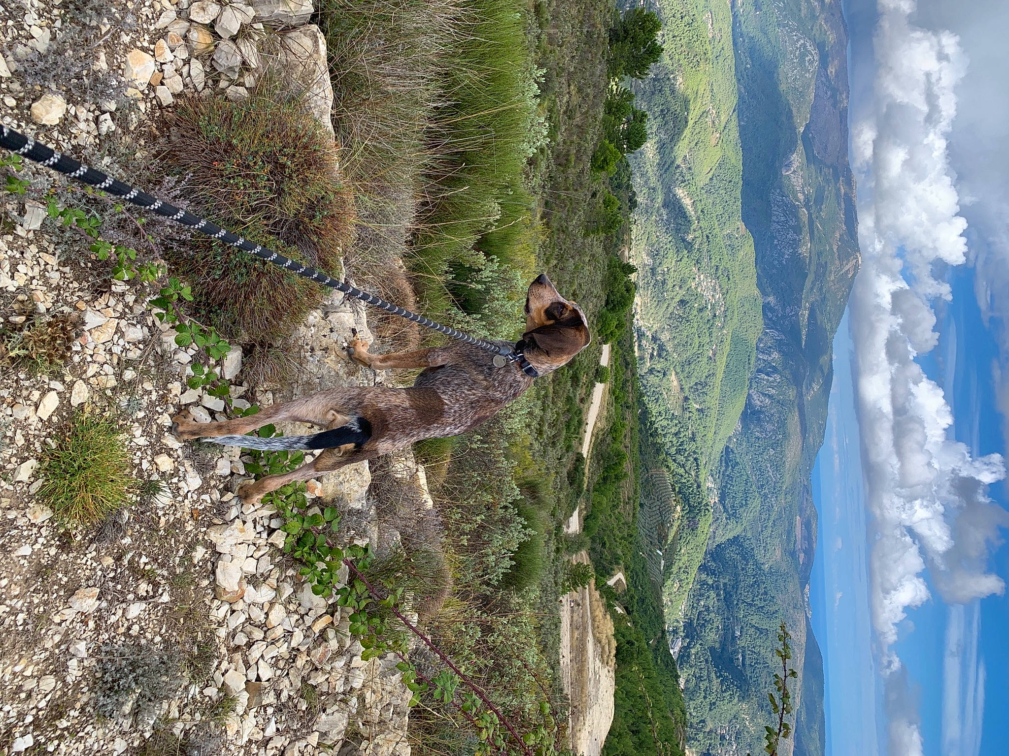 Jimmy participe au concours pour gagner de l'argent avec cette photo : bedrock, birds_eye_view, chaparral, cumulus, outcrop, panorama, terrain, world