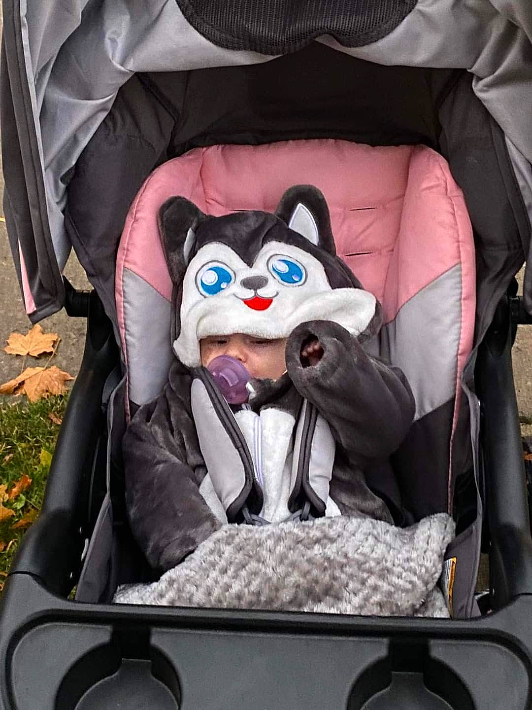 Anastasia joined the competition — help win amazing prizes! auto_part, baby_carriage, baby_products, bag, baggage, black, car_seat, carnivore, child, comfort, fashion_accessory, felidae, headwear, luggage_and_bags, motor_vehicle, person, personal_protective_equipment, product, recreation, sitting