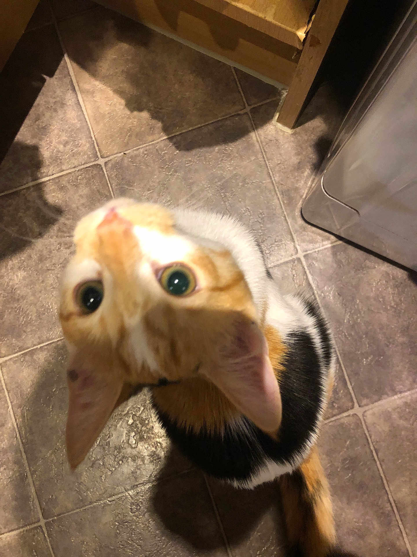 Tigger