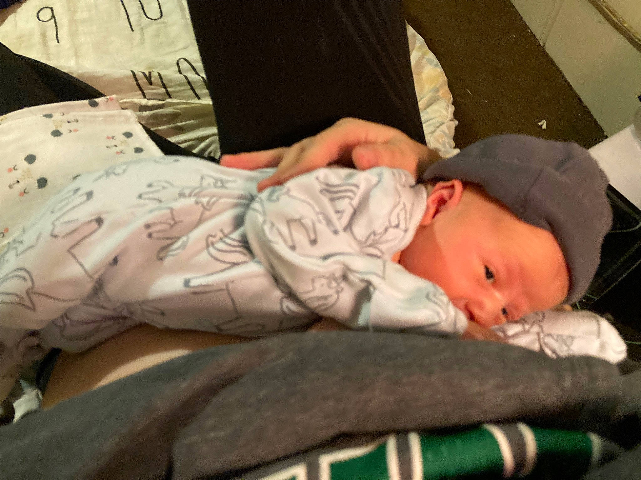 Rune joined the competition — help win amazing prizes! arm, baby, baby_products, baby_toddler_clothing, bedtime, child, comfort, elbow, finger, hand, hat, linens, nap, person, room, sitting, sleep, sleeve, toddler, tree