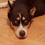 Iska participe au concours pour gagner de l'argent avec cette photo :