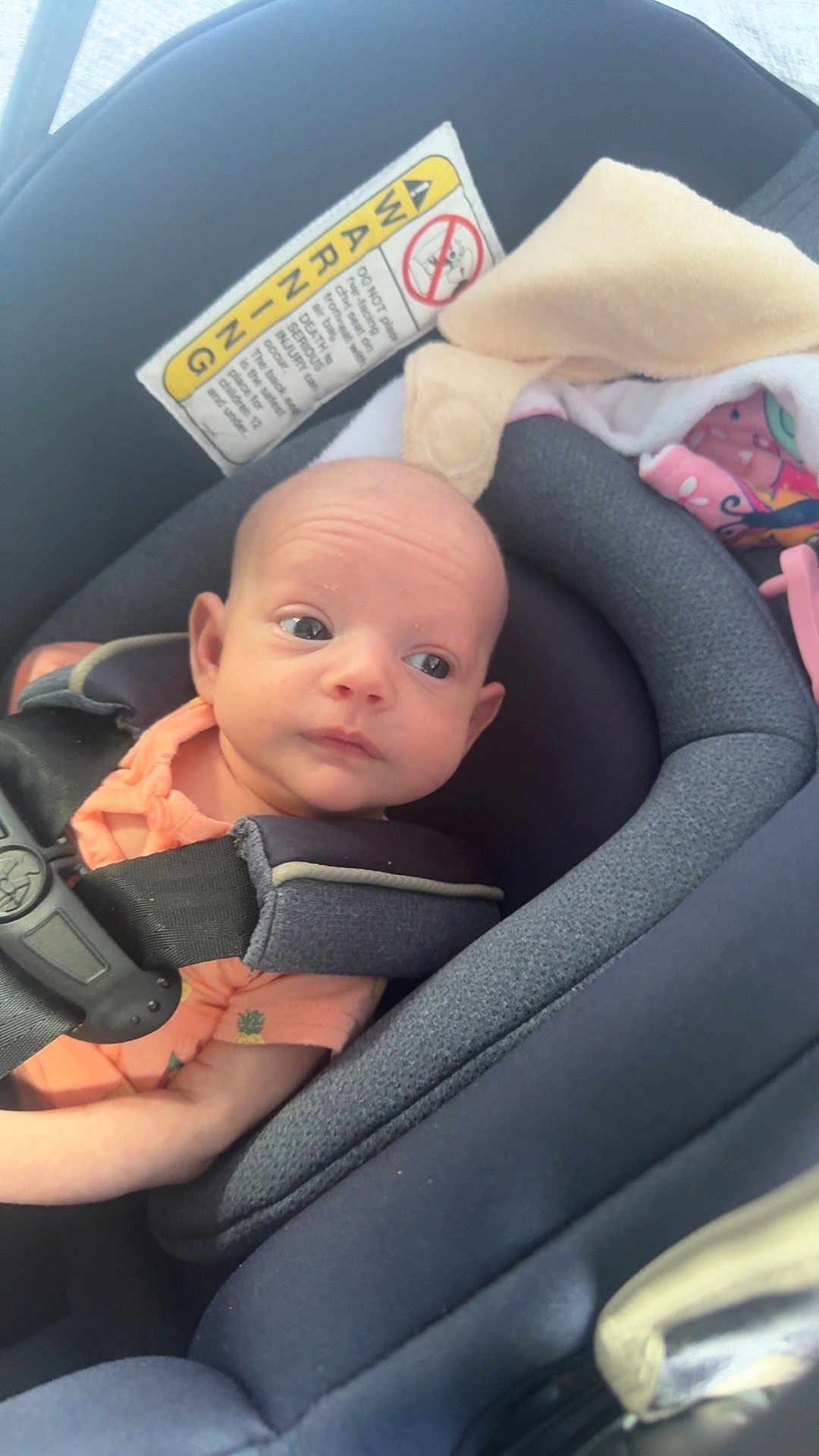 Blakelyn is registered to the contest to win money with this photo: baby, infant, car_seat, child, seatbelt, clothing, blanket, safety, cute, young, portrait, head, face, person, indoors, fabric, comfort, seat, restraint, newborn