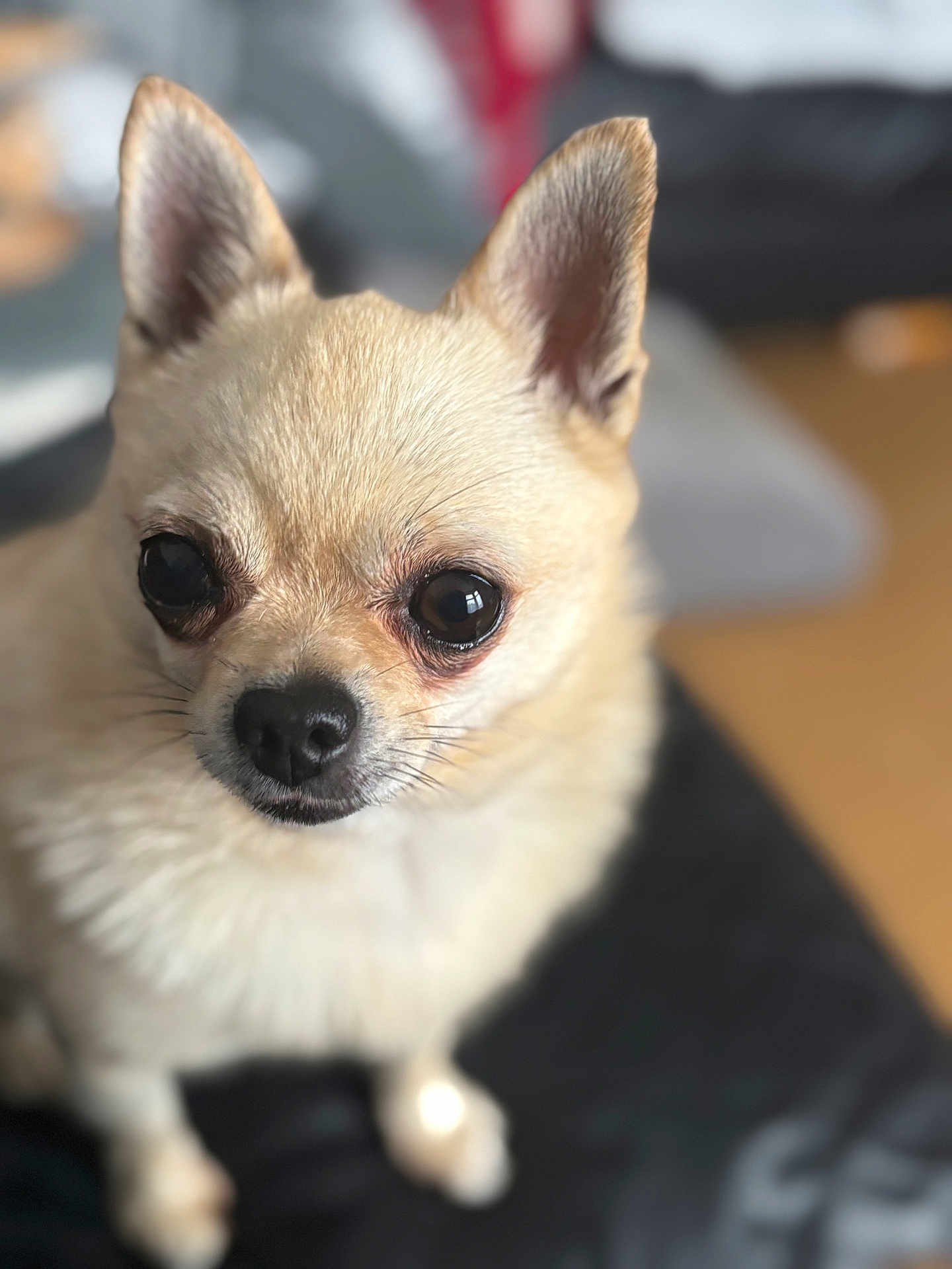Coco