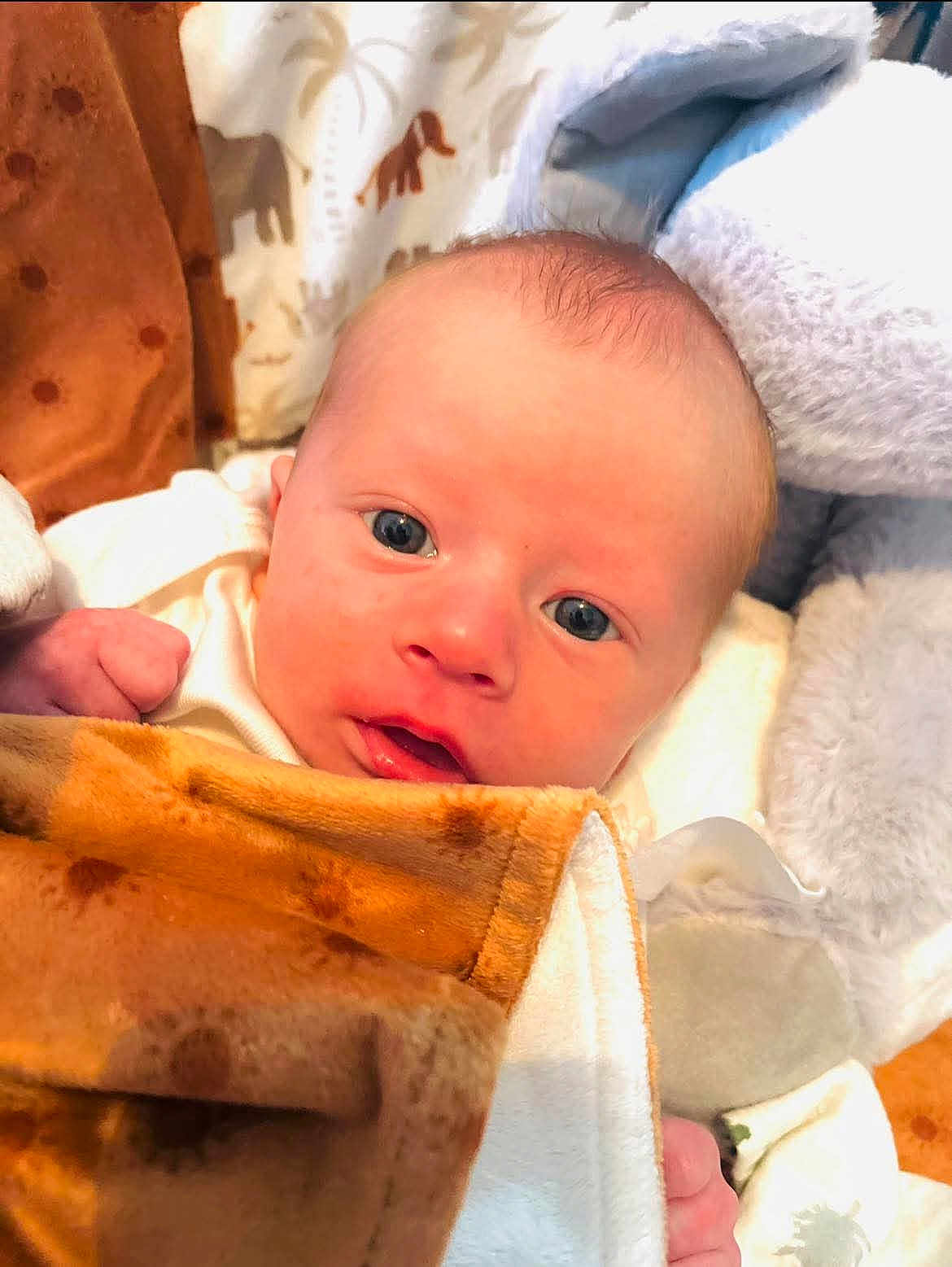 Jamison is registered to the contest to win money with this photo: baby, infant, face, eyes, blanket, cozy, soft, plush, fabric, animal_pattern, close_up, newborn, cute, child, skin, head, fingers, warm, indoor, portrait